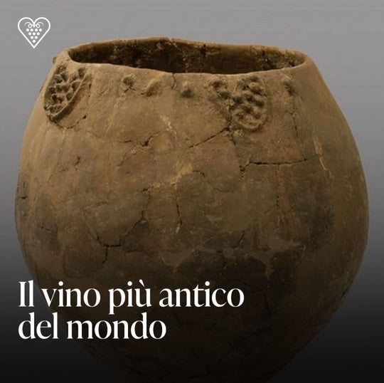 Il vino più antico del mondo