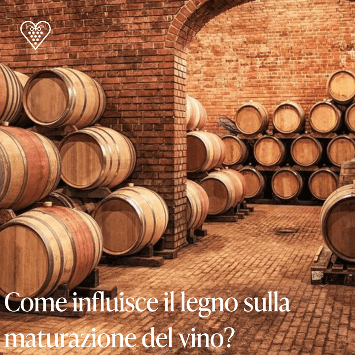 Come influisce il legno sulla maturazione del vino? - Carta dei Vini