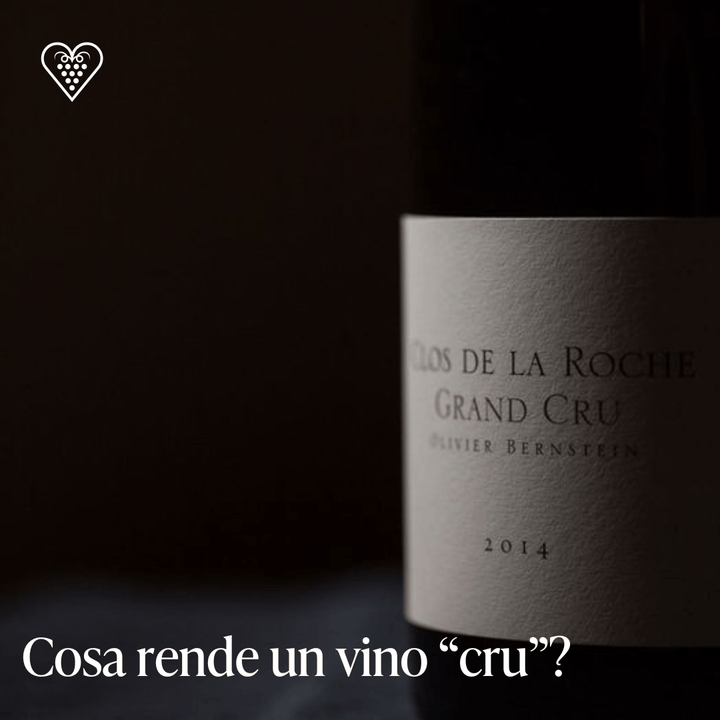 Cosa rende un vino “cru”? - Carta dei Vini
