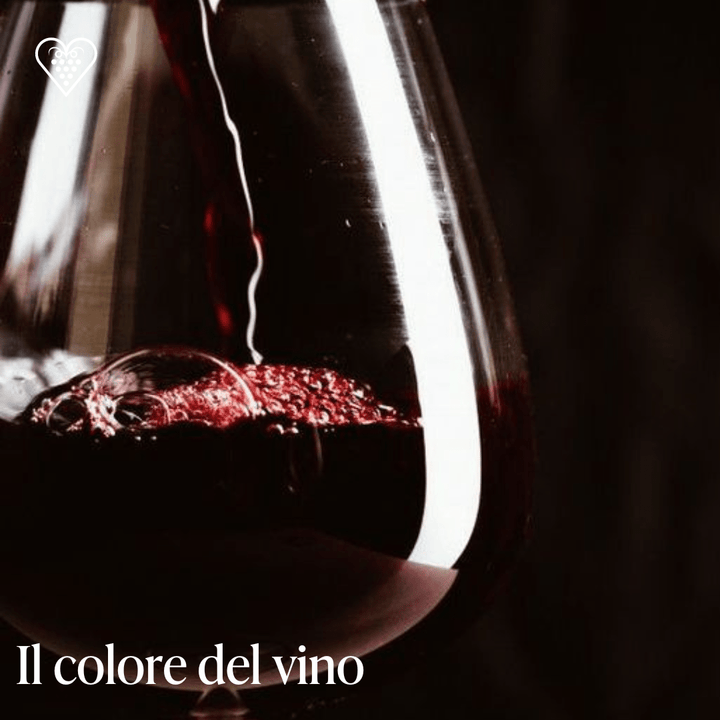 Il colore del vino - Carta dei Vini