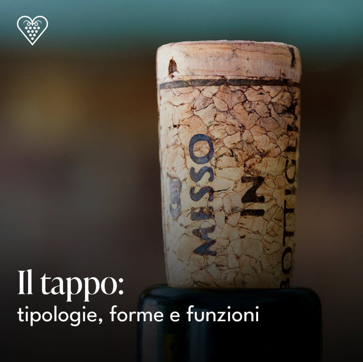 Il tappo: tipologie, forme e funzioni - Carta dei Vini
