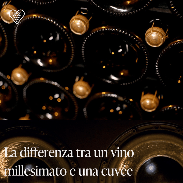 La differenza tra vino millesimato e una cuvée - Carta dei Vini