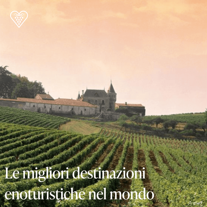 Le migliori destinazioni enoturistiche nel mondo - Carta dei Vini