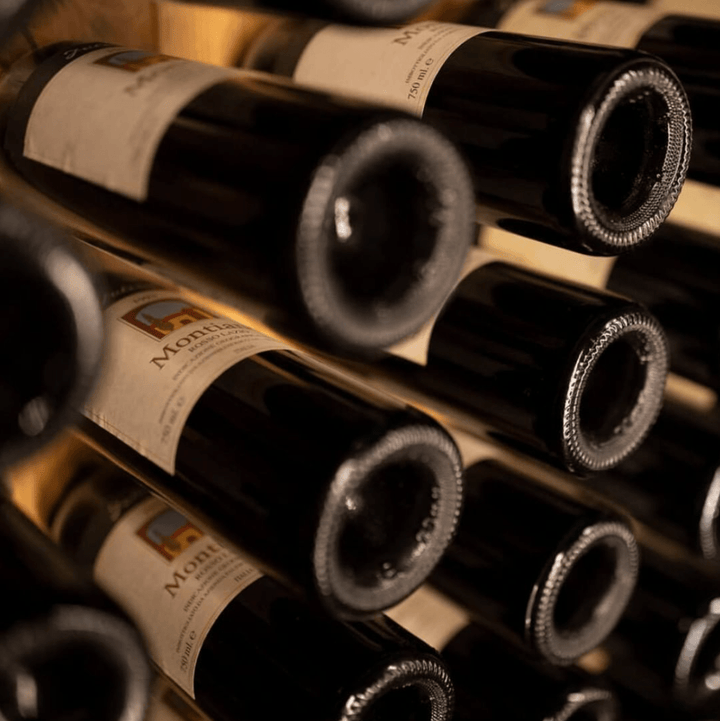 Montiano: evoluzioni che cambiano la storia - Carta dei Vini