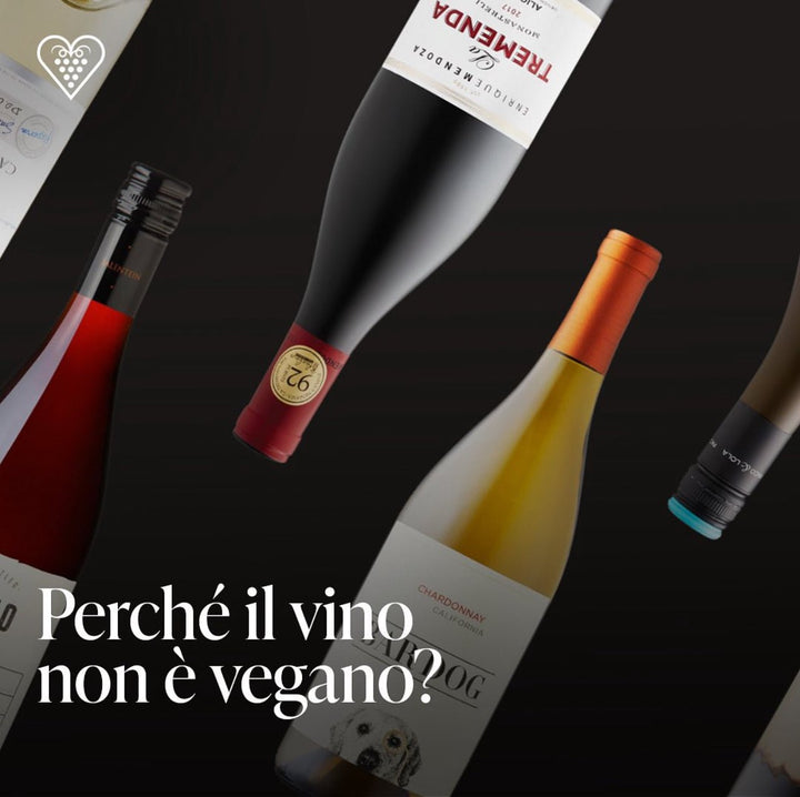 Perché il vino non è vegano? - Carta dei Vini