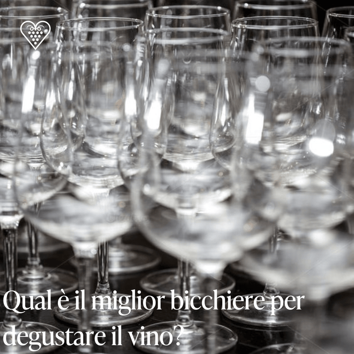 Qual è il miglior bicchiere per degustare il vino? - Carta dei Vini