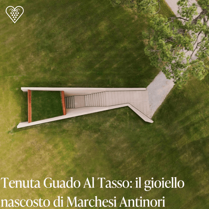 Tenuta Guado Al Tasso: il gioiello nascosto di Marchesi Antinori - Carta dei Vini