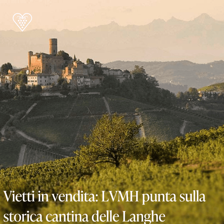 Vietti in vendita: LVMH punta sulla storica cantina delle Langhe - Carta dei Vini