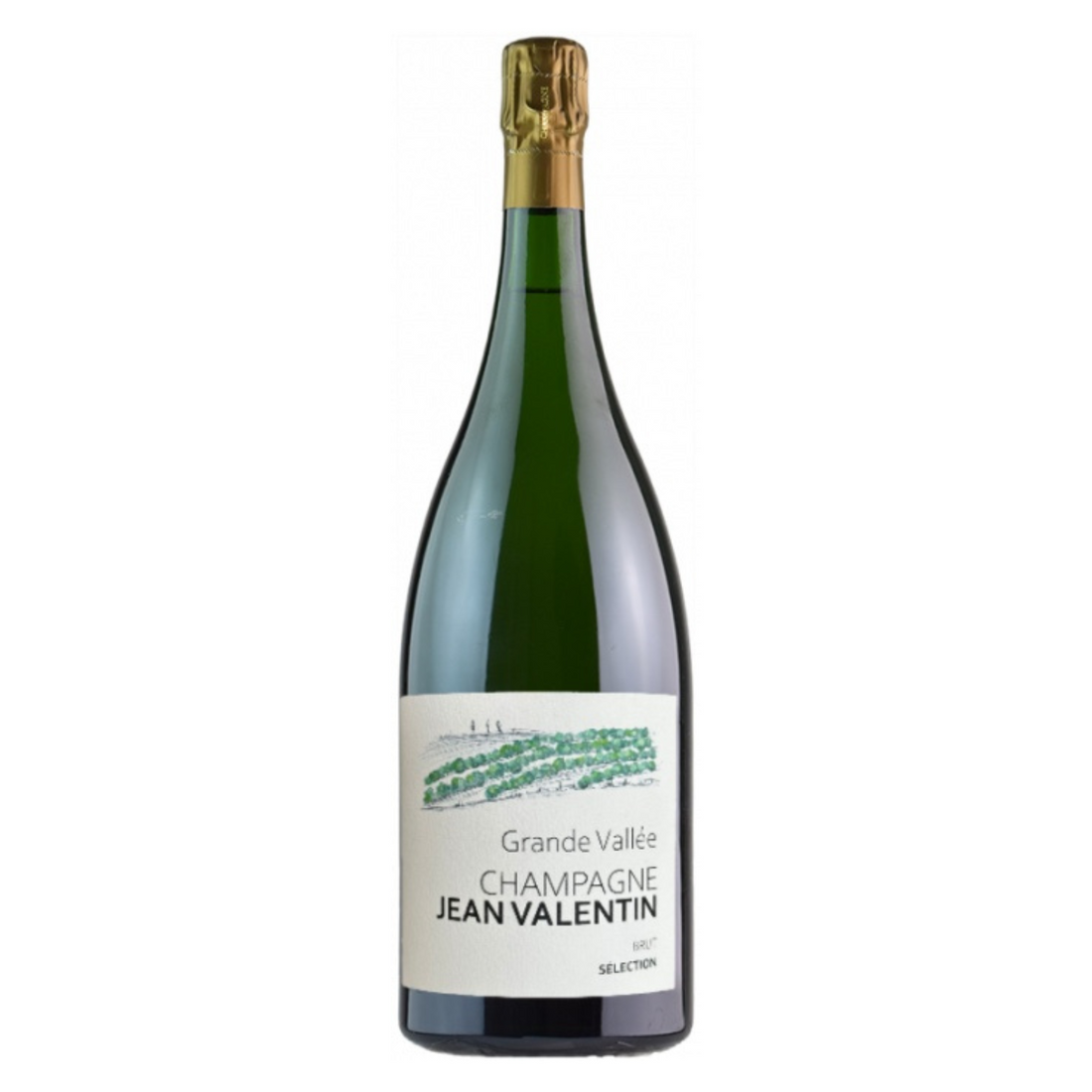 Champagne Grande Vallée Selection Brut