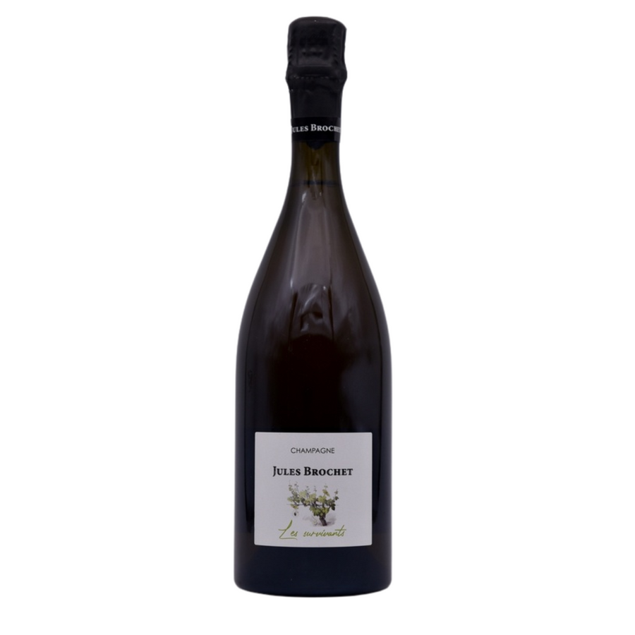 Champagne Jules Brochet Les Survivants