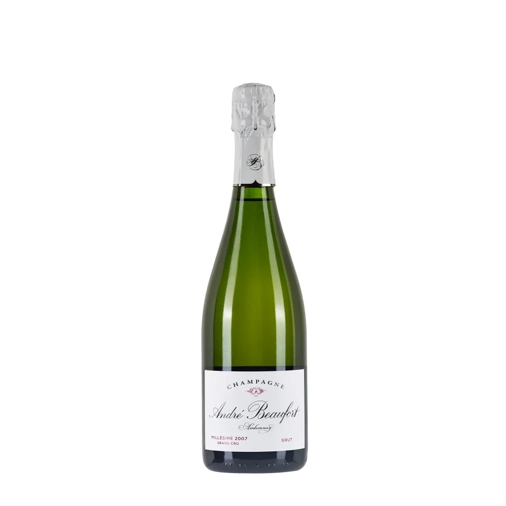 Bottiglia di Champagne biologico André Beaufort Ambonnay 2007 Sbocc &