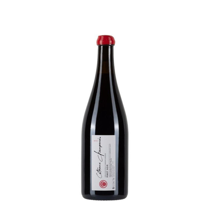 Fleury Coteaux Champenois Rouge 2019 - Carta dei Vini
