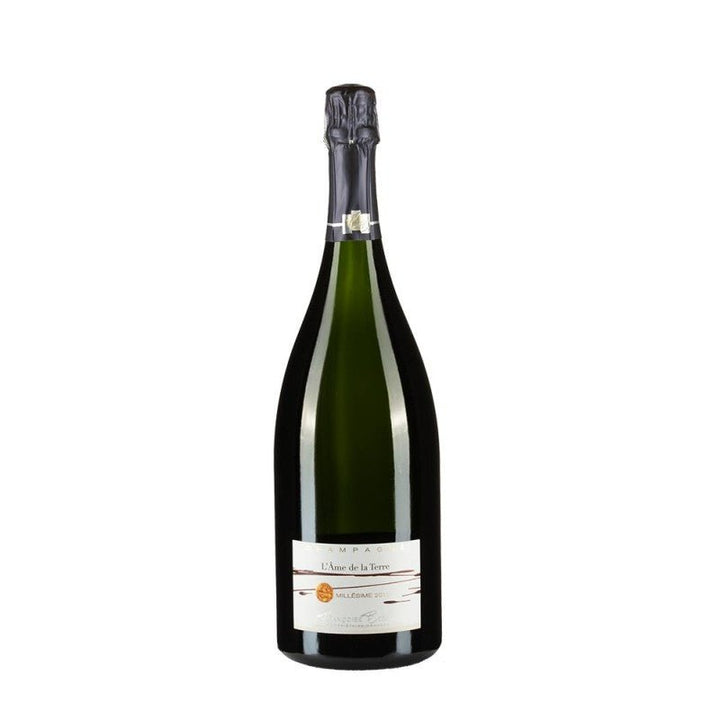 Françoise Bedel L'âme De La Terre 2011 Magnum 1.5l - Carta dei Vini