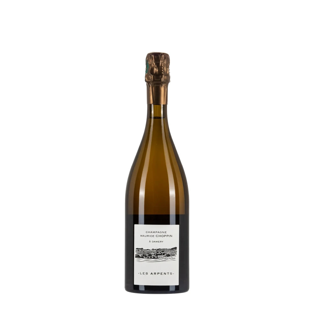 Bottiglia di Champagne Maurice Choppin Les Arpents, spumante bollicine della Vallee de La Marne da 75 cl