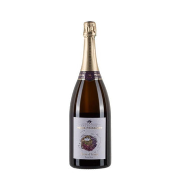 Regis Poissinet Terre D'irizée Magnum Sbocc '22 - Carta dei Vini