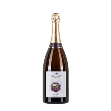 Regis Poissinet Terre D'irizée Magnum - Carta dei Vini