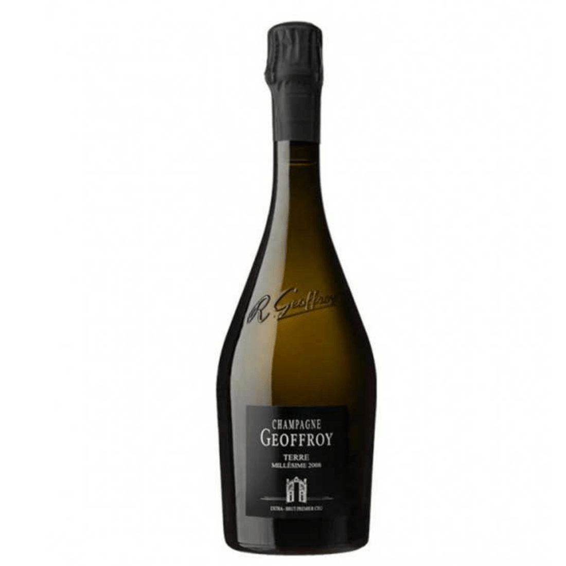 René Geoffroy Terre Millésime Extra brut 1er Cru 2008 sbocc. 2020 - Carta dei Vini