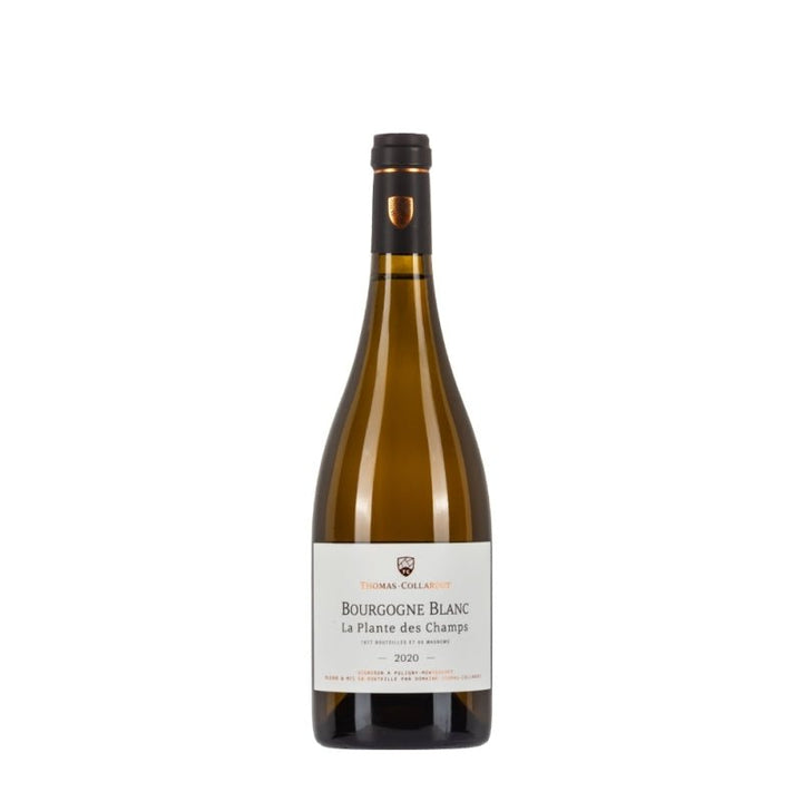 Thomas - collardot Bourgogne Blanc 2020 La Plante Des Champs - Carta dei Vini