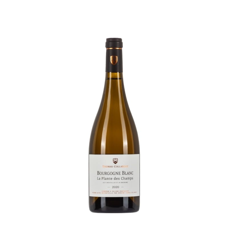 Thomas - collardot Bourgogne Blanc 2020 La Plante Des Champs - Carta dei Vini