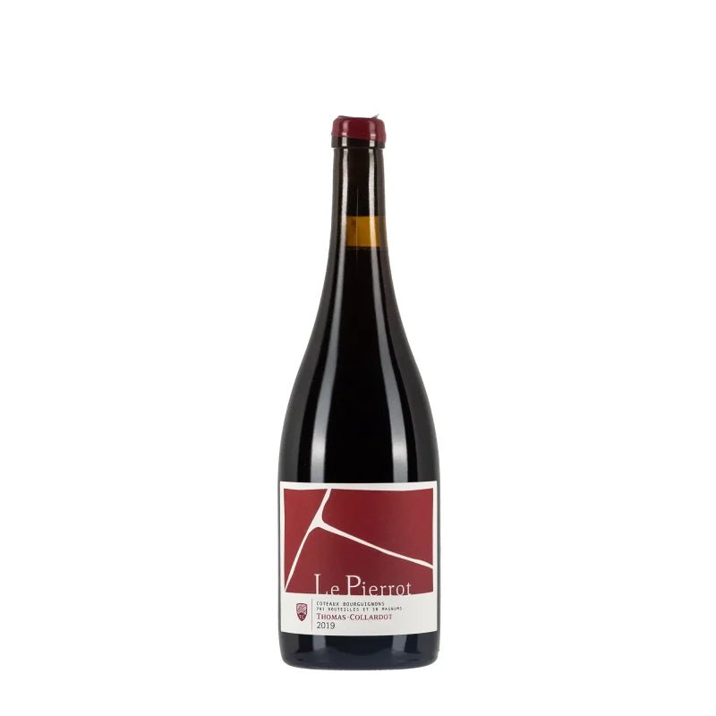Thomas - collardot Coteaux Bourguignons 2019 Le Pierrot - Carta dei Vini