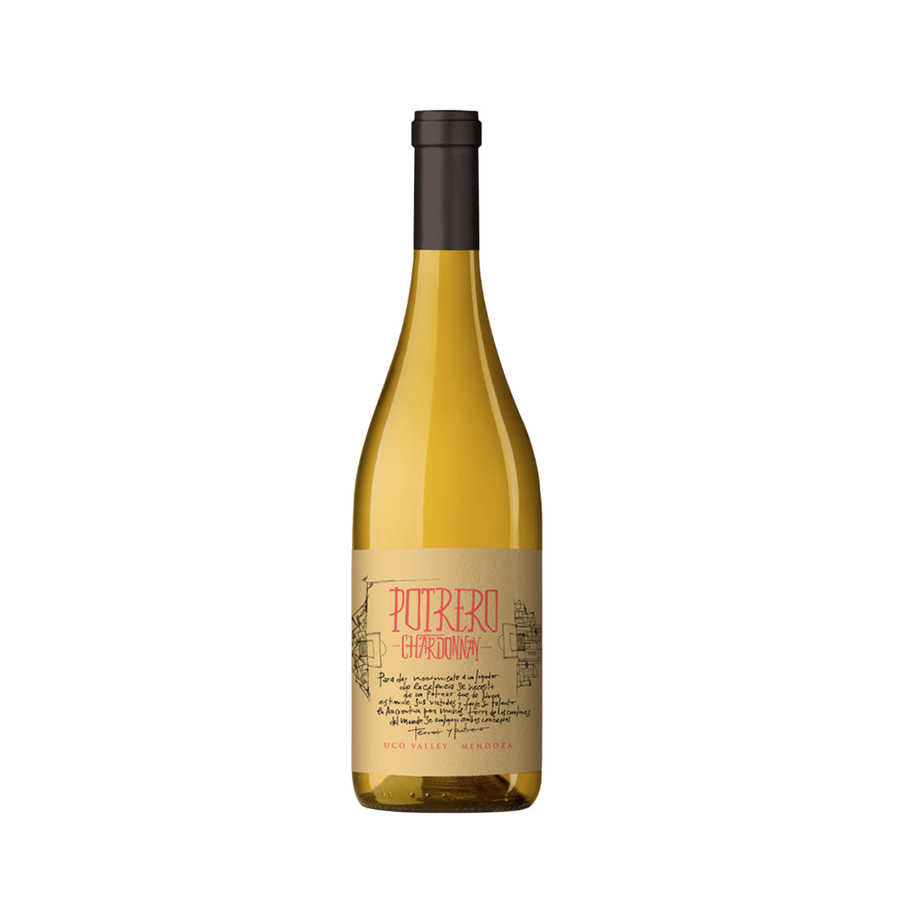 Chardonnay 