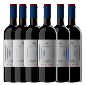 Box Ruit Hora 2020 Bolgheri 6 Bottiglie